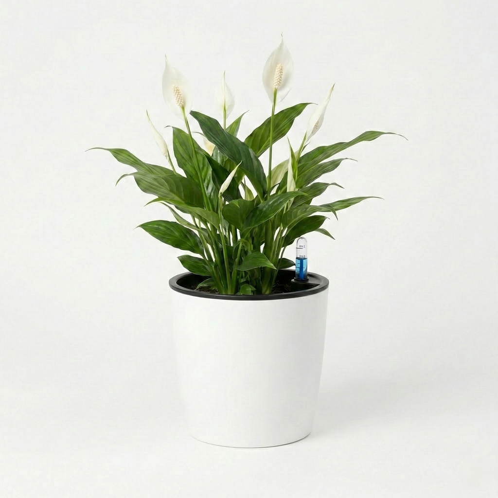 Vista-Flow Self-Watering Planter