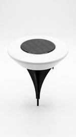 Stellar White 1Pc