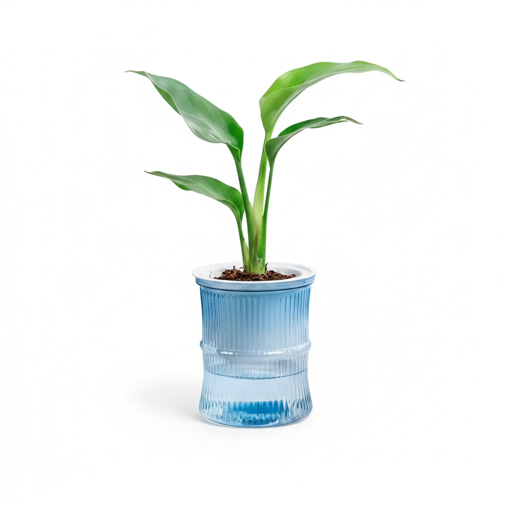 Zen Hydro-Sync Pot