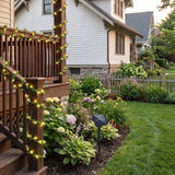 Botanica-Vine Solar Ivy Garland