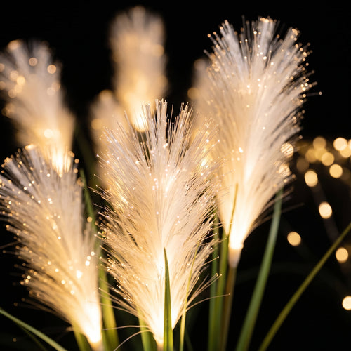 Reed-Aura – Architectural Fiber Optic Landscape Sculpture