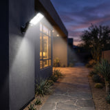 Aura-Sentinel – High-Performance Motion-Sensor Solar Street Light
