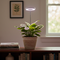 LED Grow Light