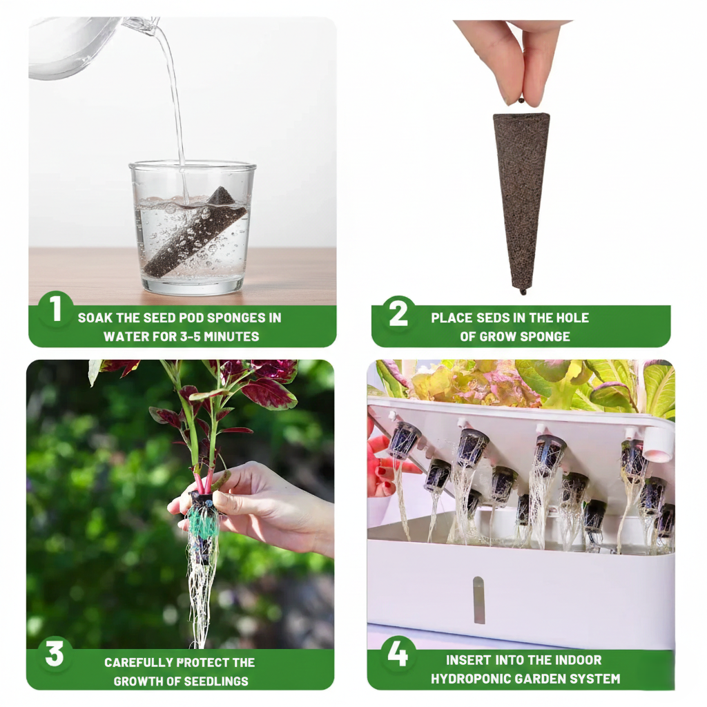 Grow Sponges | 50 Packs