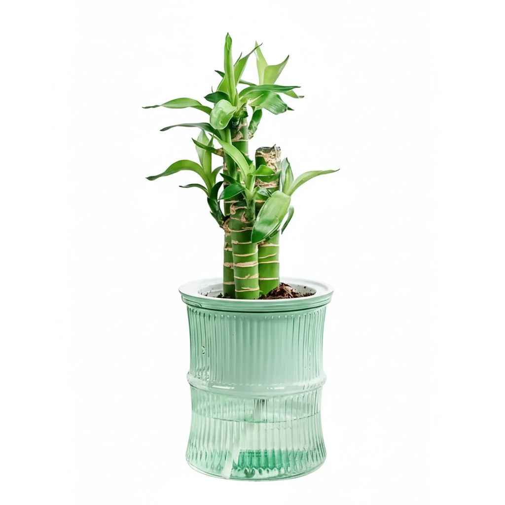 Zen Hydro-Sync Pot