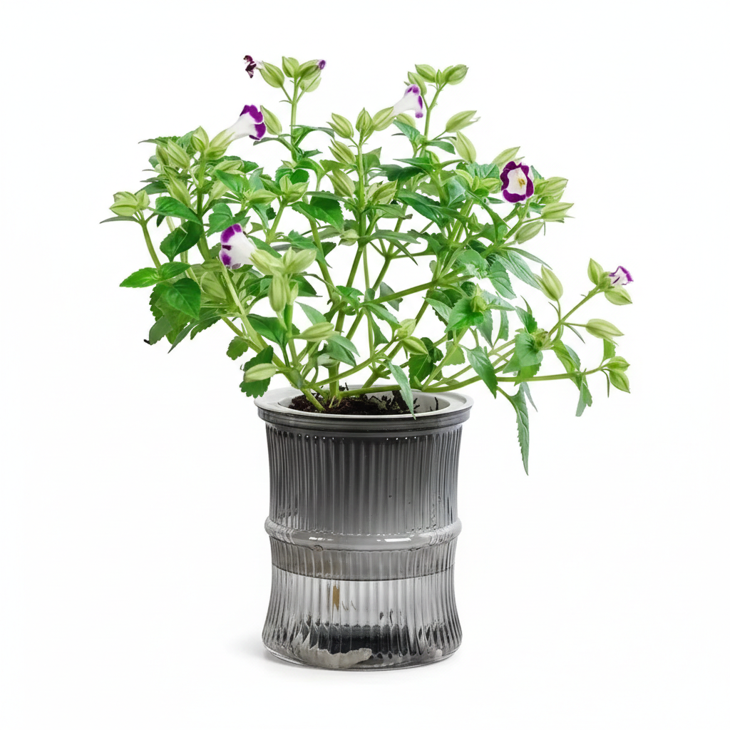 Zen Hydro-Sync Pot