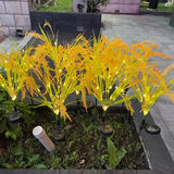 Lumina-Reed 7-Head Solar Stake