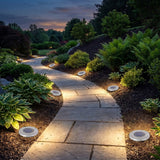Terra-Glow Pro: 20-LED Solar Pathway Disk