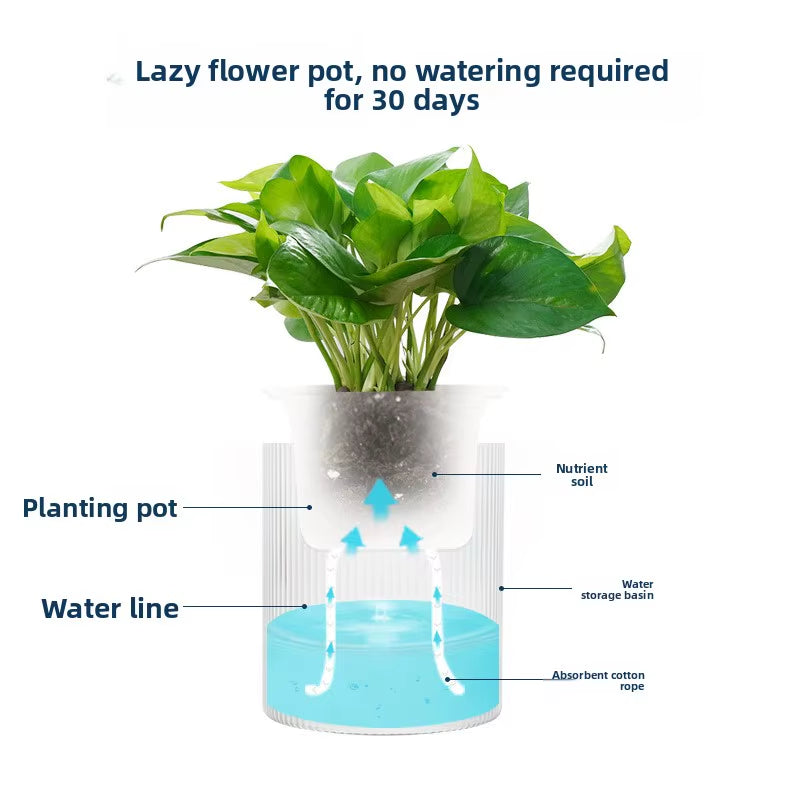 Automatic Water-Absorbing Lazy Green Radish Flower Pot, Water Storage Transparent Plastic Flower Pot, Special for Green Radish P