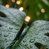 Aura-Glisten – Architectural Solar Fairy Lights