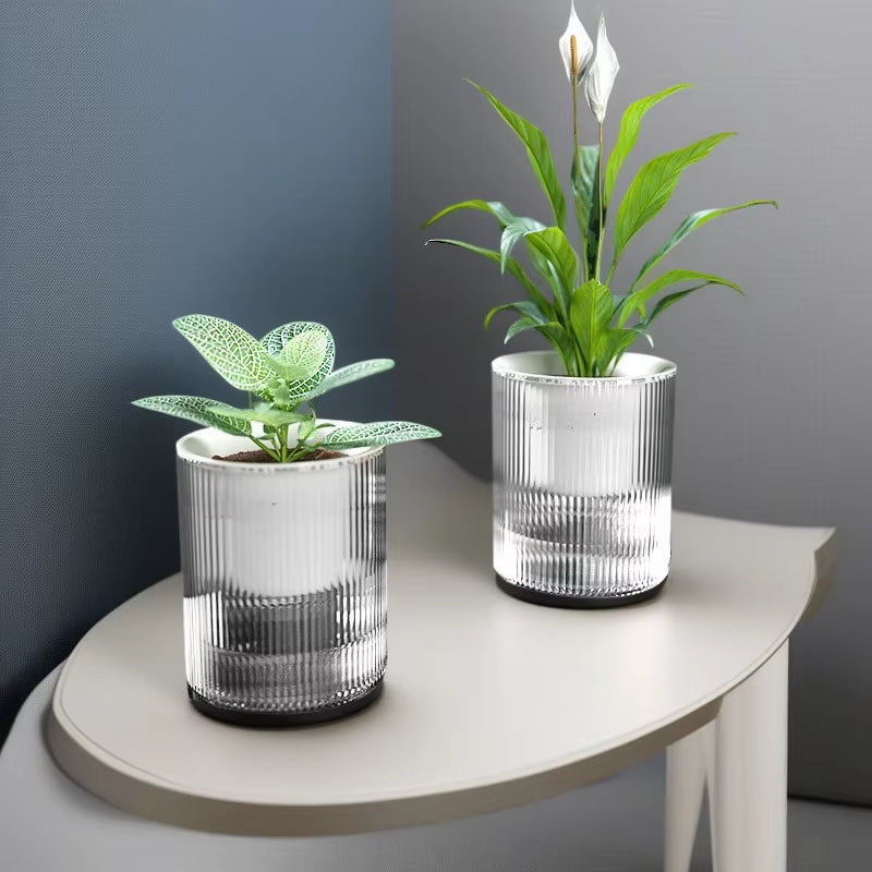 Automatic Water-Absorbing Lazy Green Radish Flower Pot, Water Storage Transparent Plastic Flower Pot, Special for Green Radish P