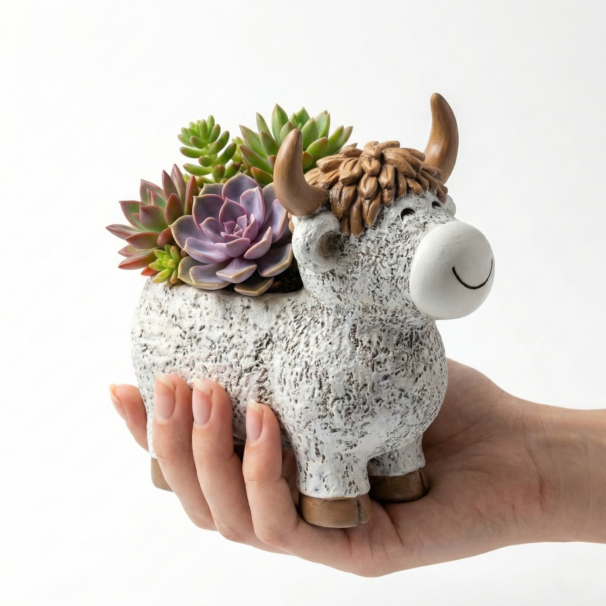 Highland Moo Planter