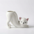 Stretching Cat Planter