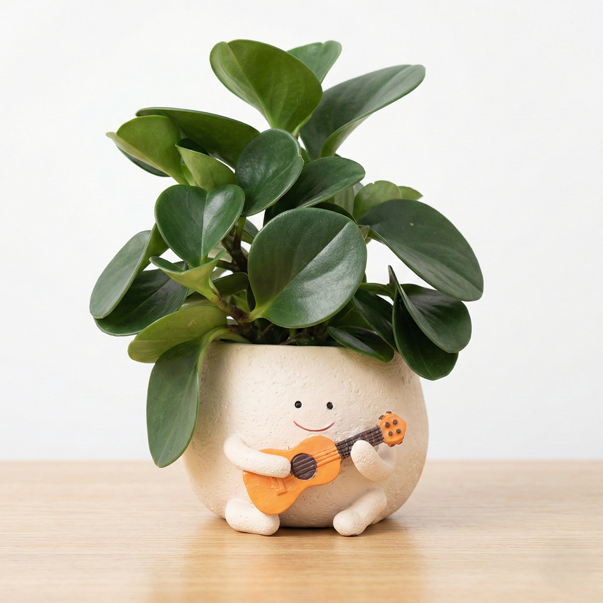 The Romantic Serenader