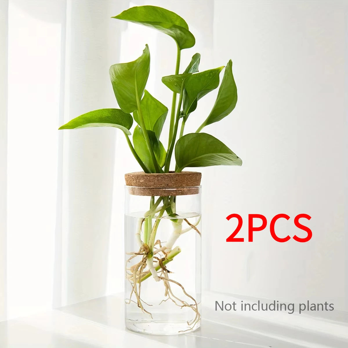 Minimalist Hydroponic Propagation Station