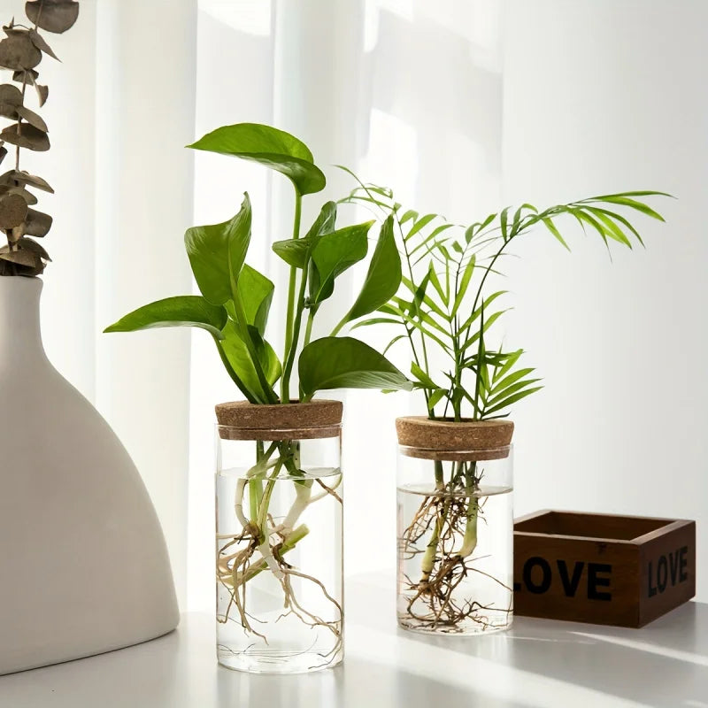 Minimalist Hydroponic Propagation Station