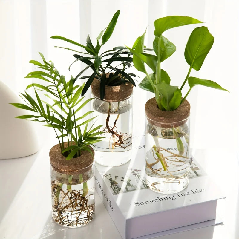 Minimalist Hydroponic Propagation Station