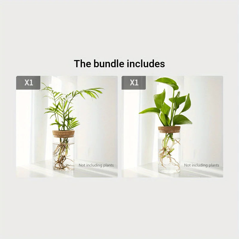 Minimalist Hydroponic Propagation Station