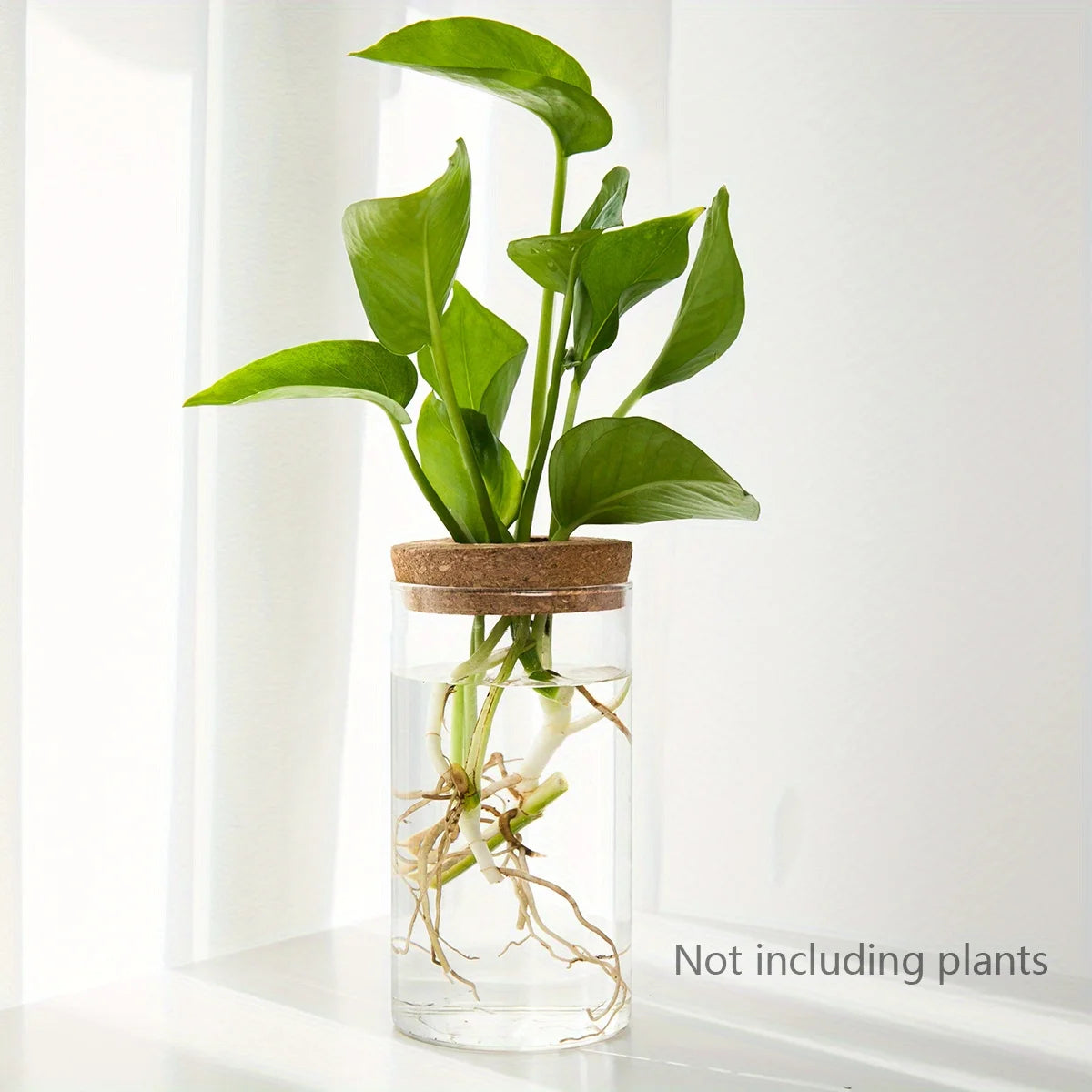 Minimalist Hydroponic Propagation Station