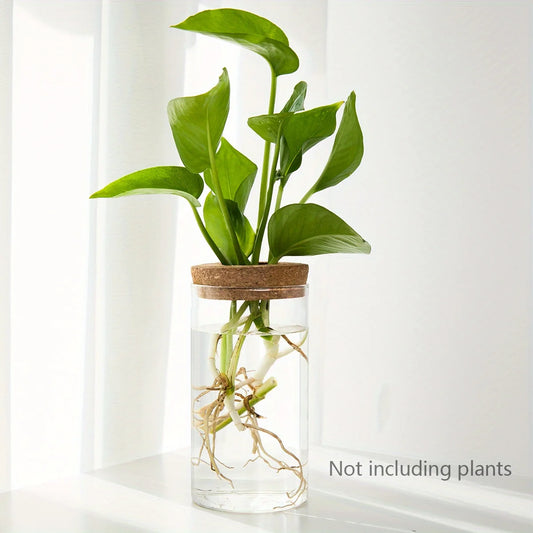 Minimalist Hydroponic Propagation Station