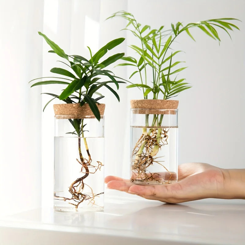 Minimalist Hydroponic Propagation Station