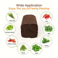 20Pc/40Pc Hydroponic Sponge Growth Kit, Organic Growth of Pods, and Sponge Plugs for Plant Cloning and Growth