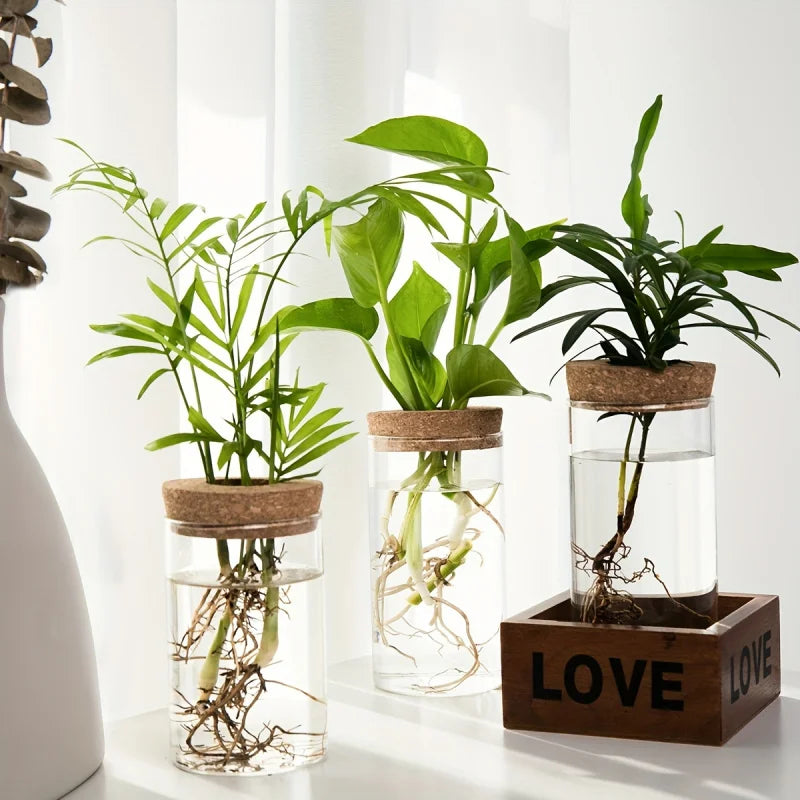 Minimalist Hydroponic Propagation Station