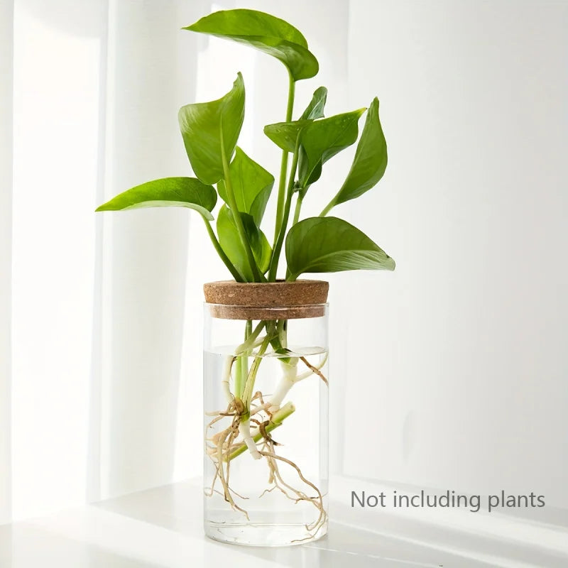 Minimalist Hydroponic Propagation Station