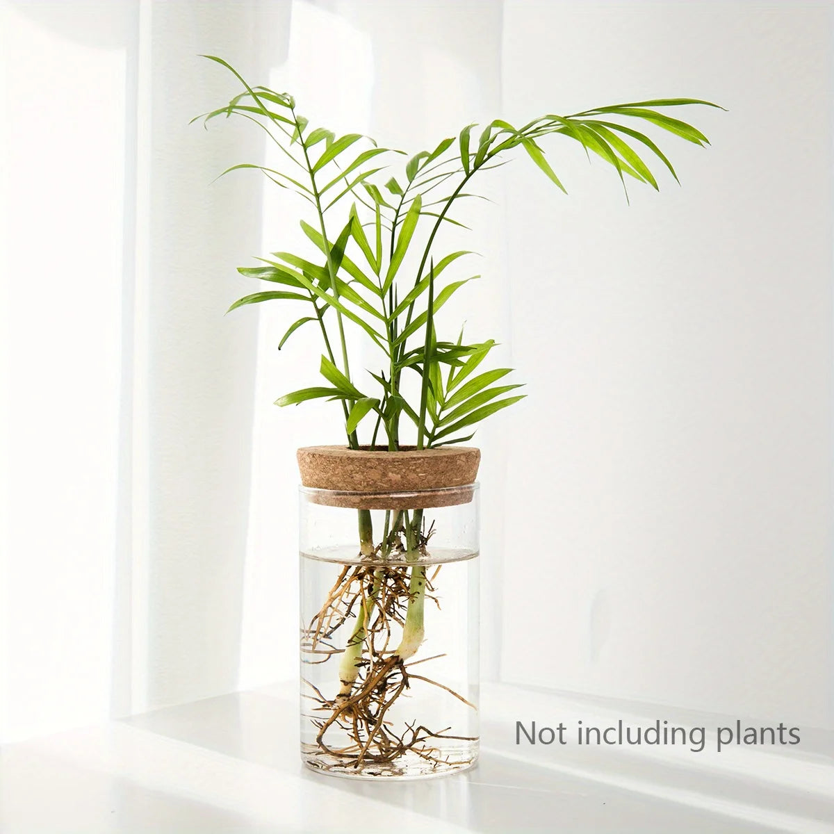Minimalist Hydroponic Propagation Station