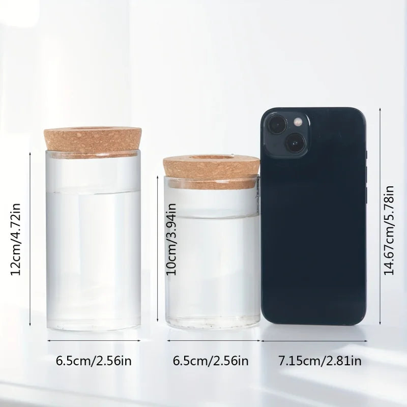 Minimalist Hydroponic Propagation Station